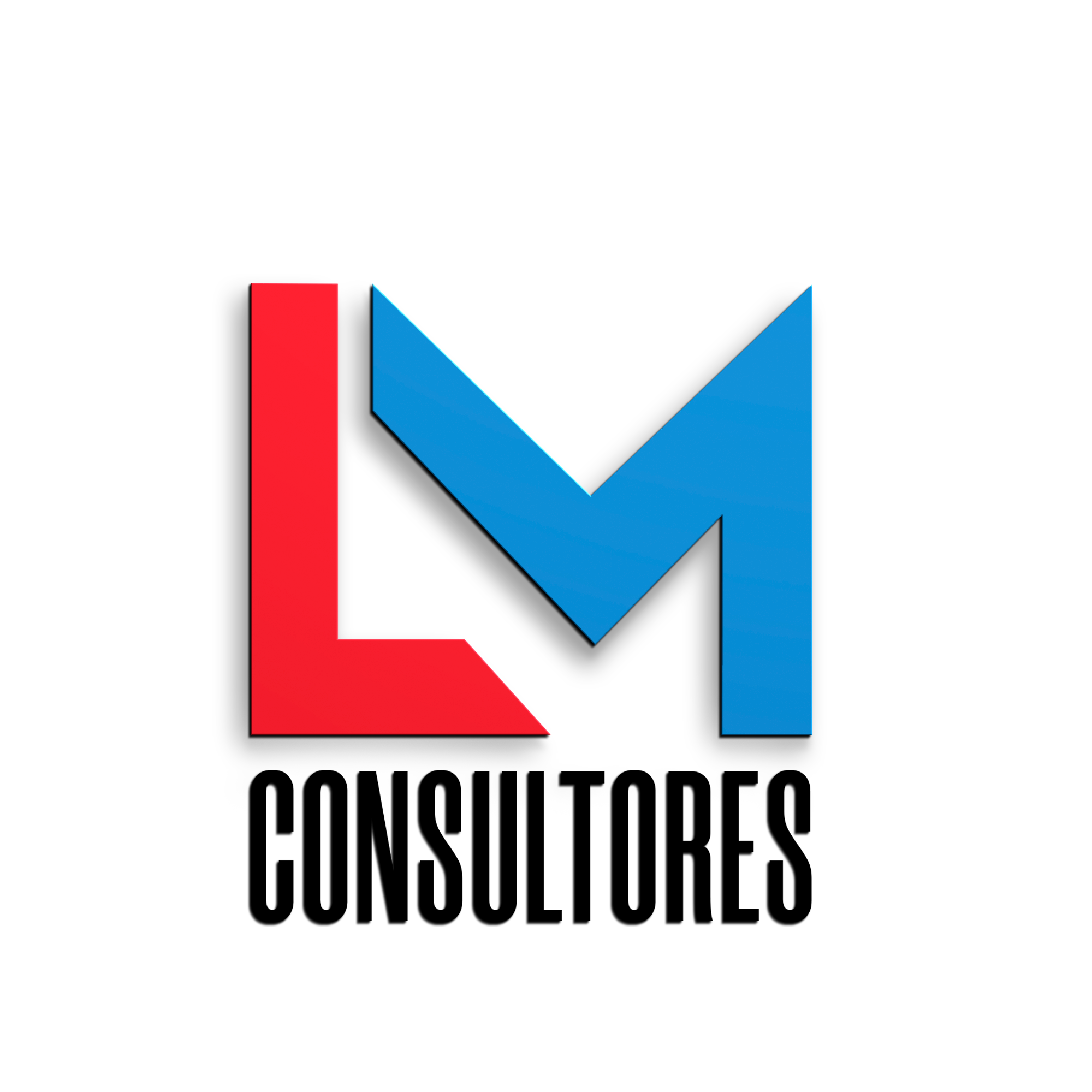 LM Consultores